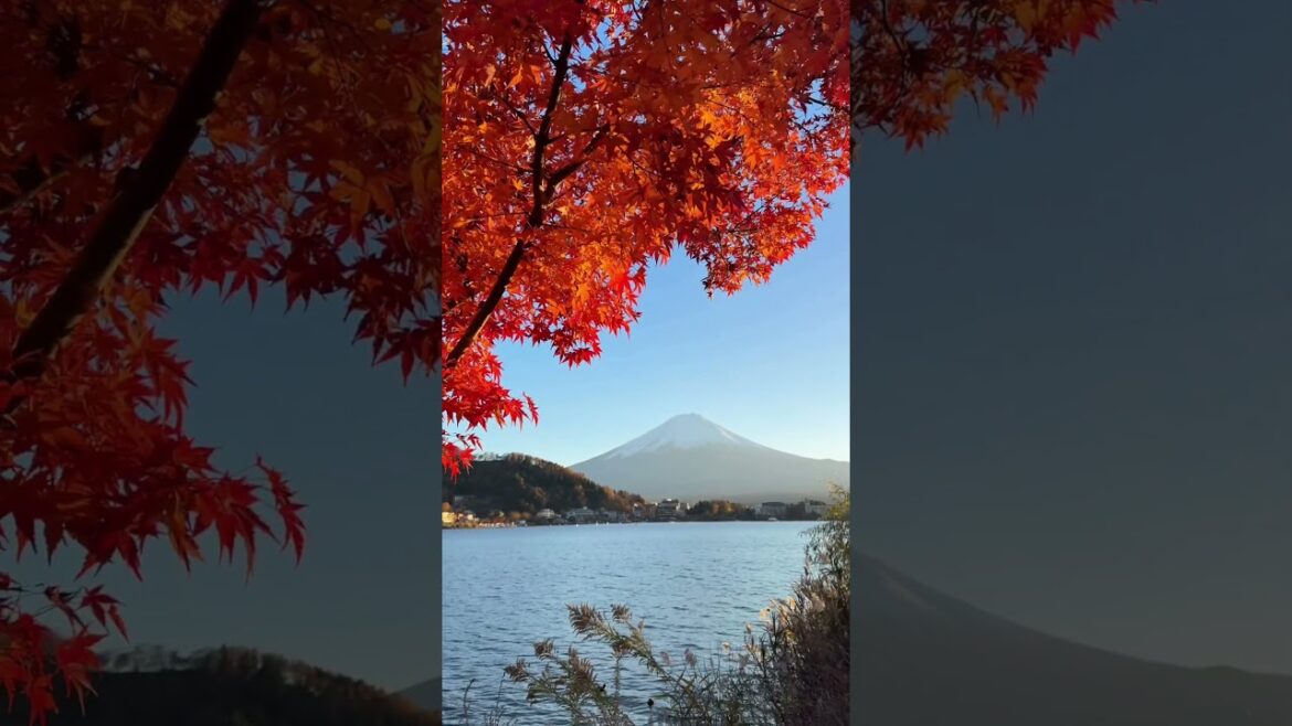 Is Mount Fuji on your Japan travel bucketlist?? 🇯🇵#japantravel #traveljapan #visitjapan #japantrip