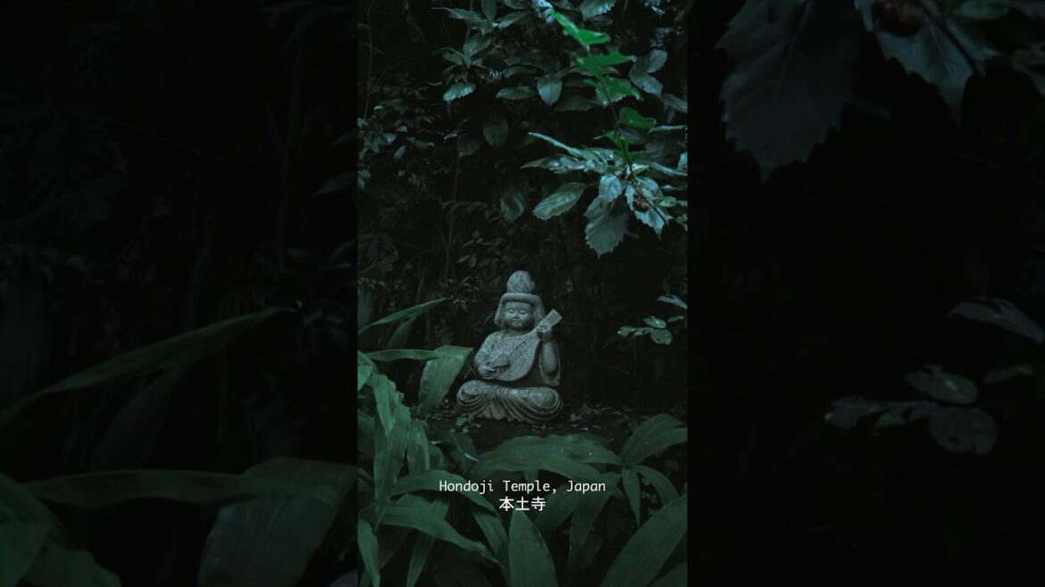 Hondo-ji Temple in Chiba Japan. #japan Hondo-ji Temple in Chiba Japan. #japan