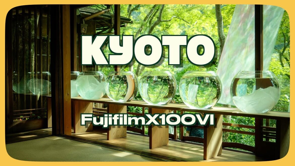 用Fujifilm X100VI拍京都的綠色｜拍攝參數分享｜苔寺｜嵐山｜祐斎亭｜京都旅行