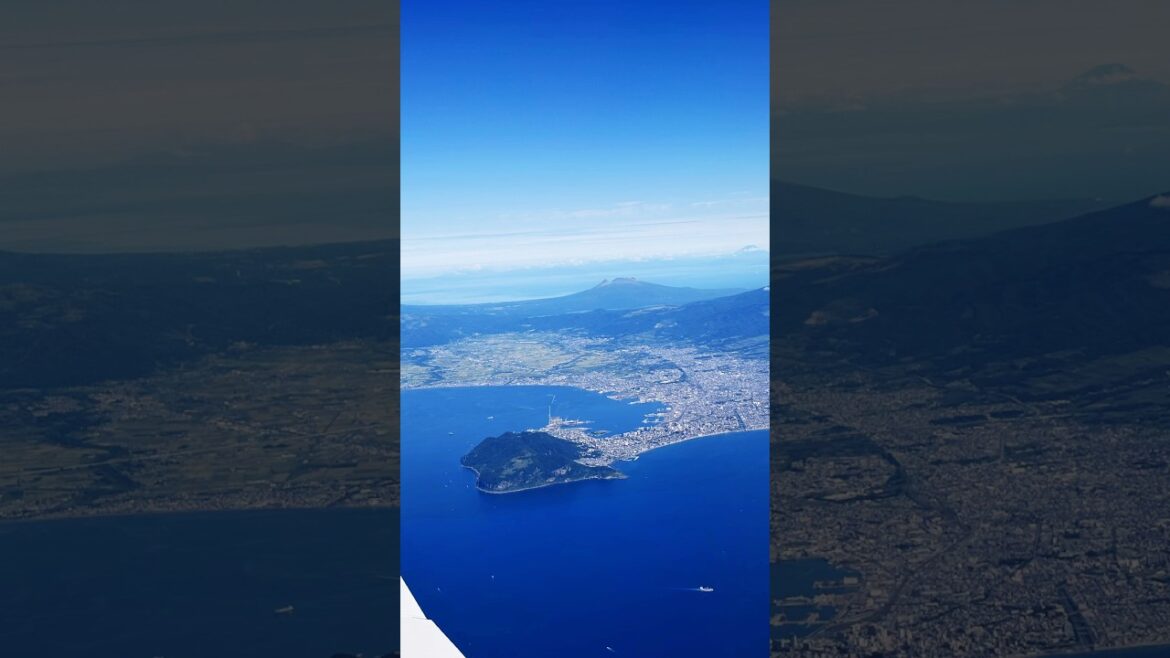 Hakodate Sightseeing Tour#japan#travel #shorts #hakodate #nightview