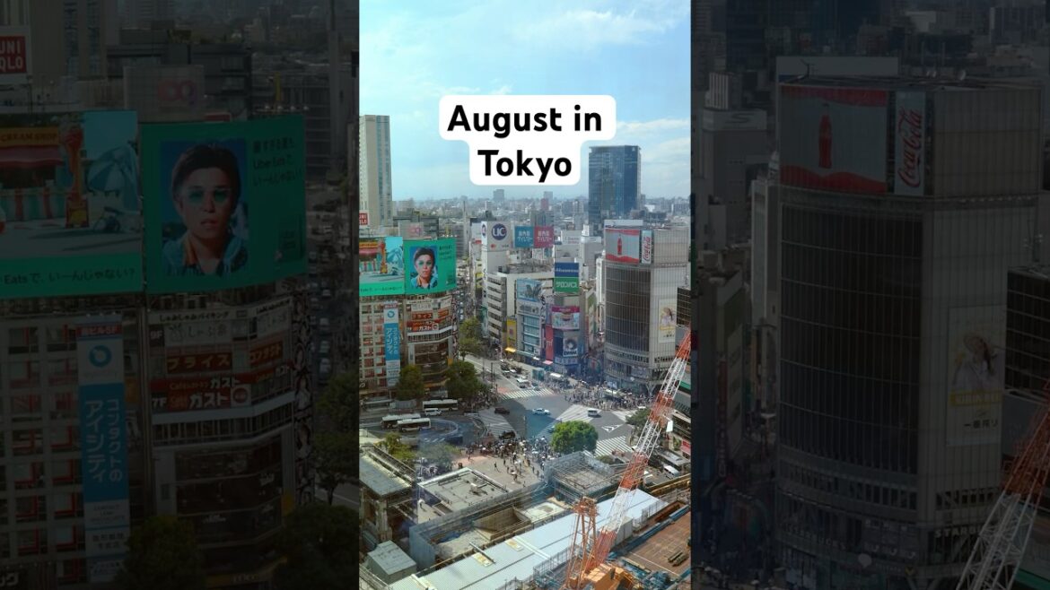 2025 August in Tokyo #summer #japan #japantravel #shorts