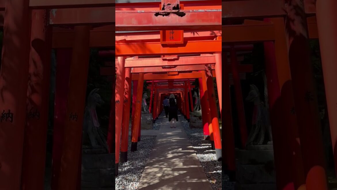 The tunnel of #toriigates at Wakamiya #Inari #Shine in #Nagasaki of #Japan #japantravel #travel