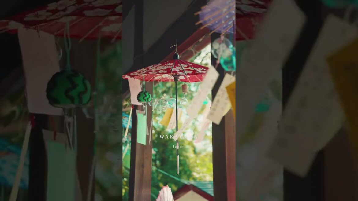 📍Kasuga Shrine – Wakayama, Japan