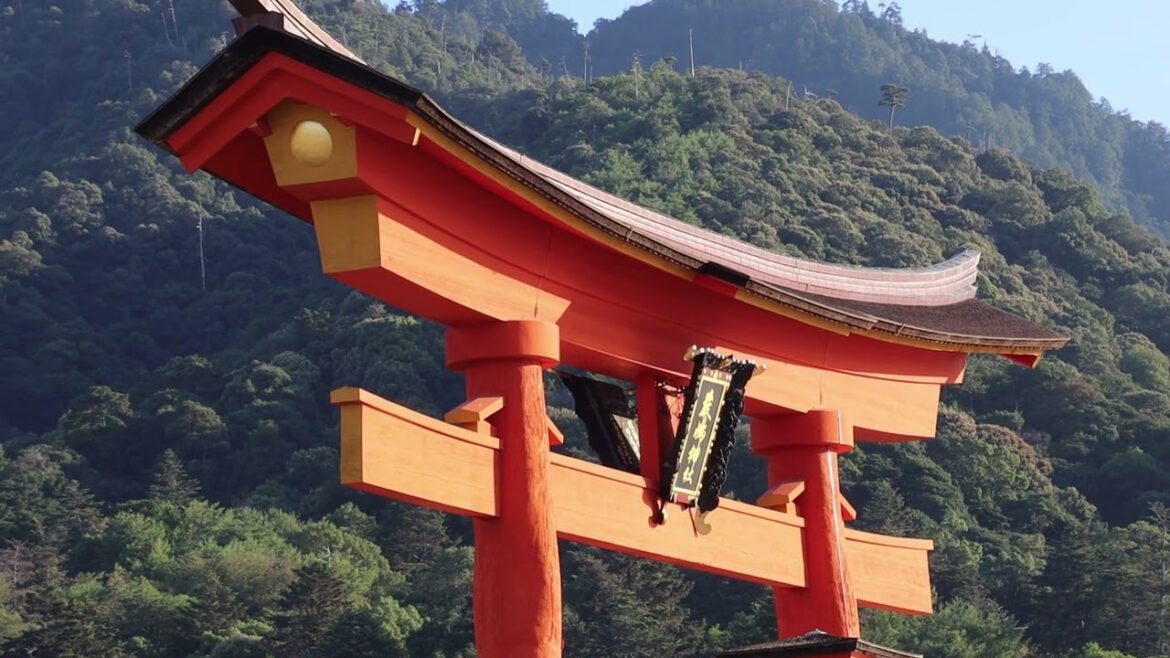 Japan 日本 2025 | Cinematic Travel Video 4K | Canon EOS 90D