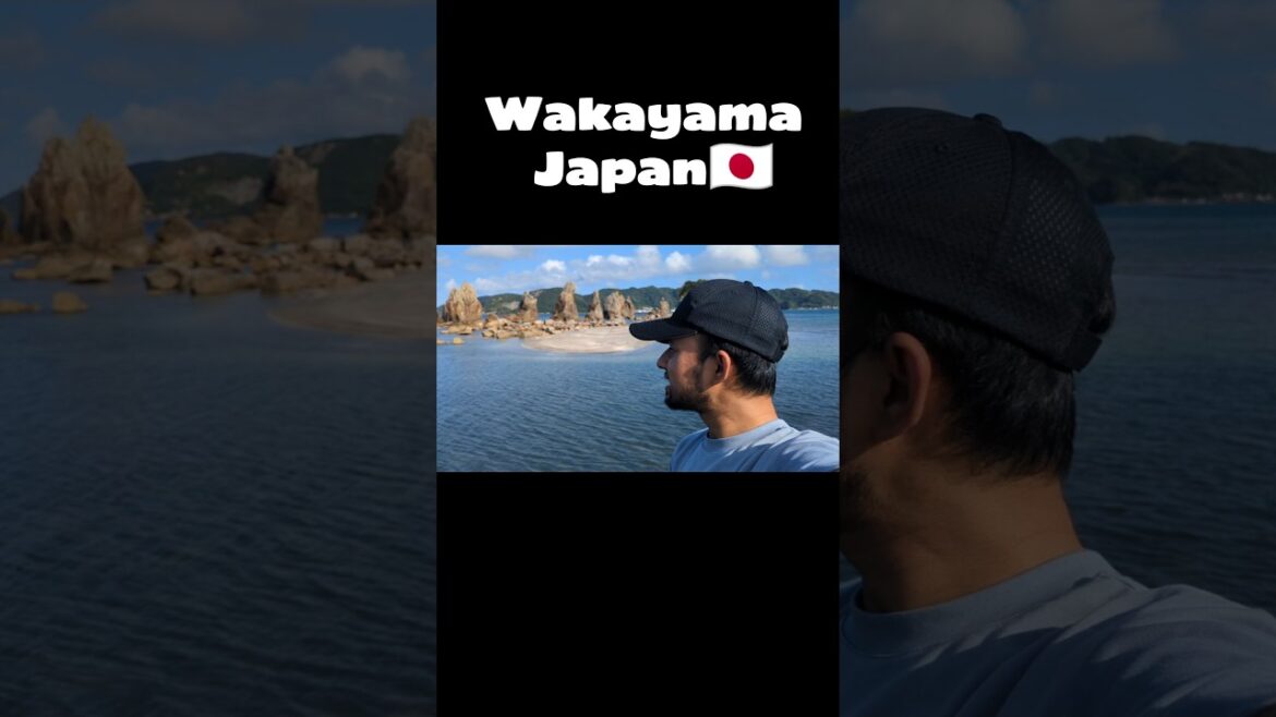 জাপানের Wakayama 🇯🇵 #japan #travel #lifeisbutadream #asiantravel #banglavlog