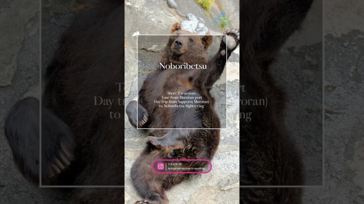 【Muroran】★Shore Excursions in Japan★Tour from Muroran port