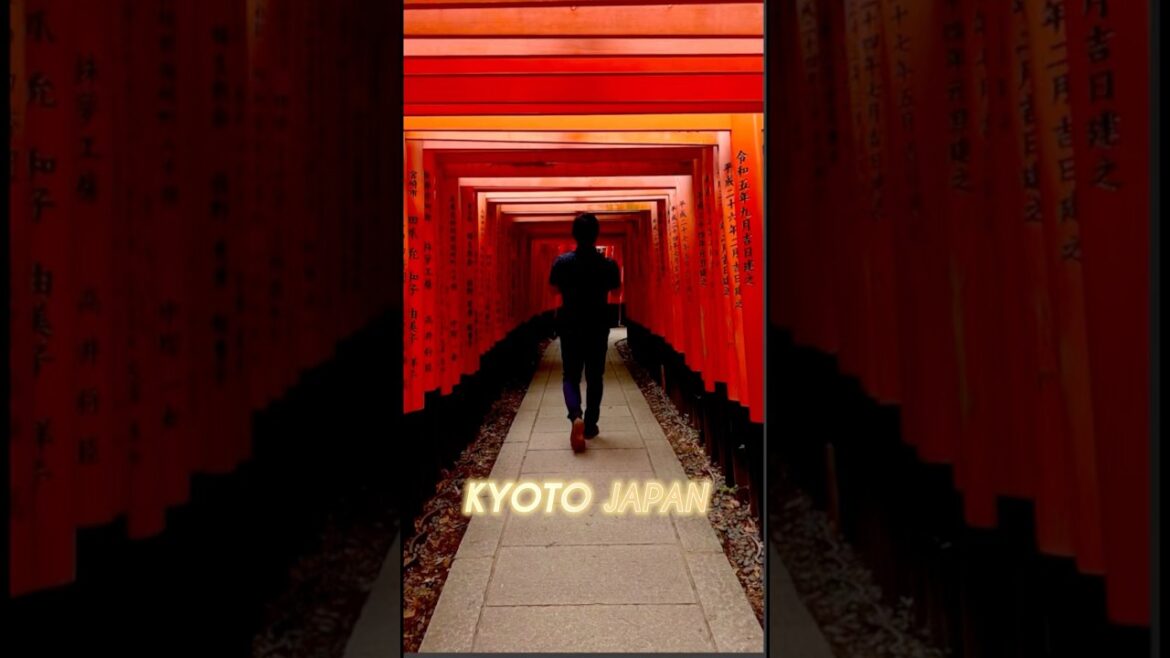 Kyoto Japan vlog! Come join me on my Kyoto tour. #japantravel