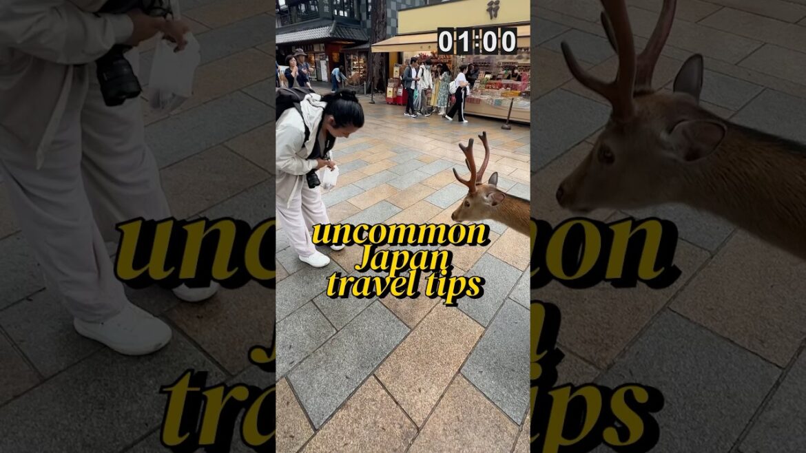 Japan tips for 1st timers that NOBODY talks about 🤯