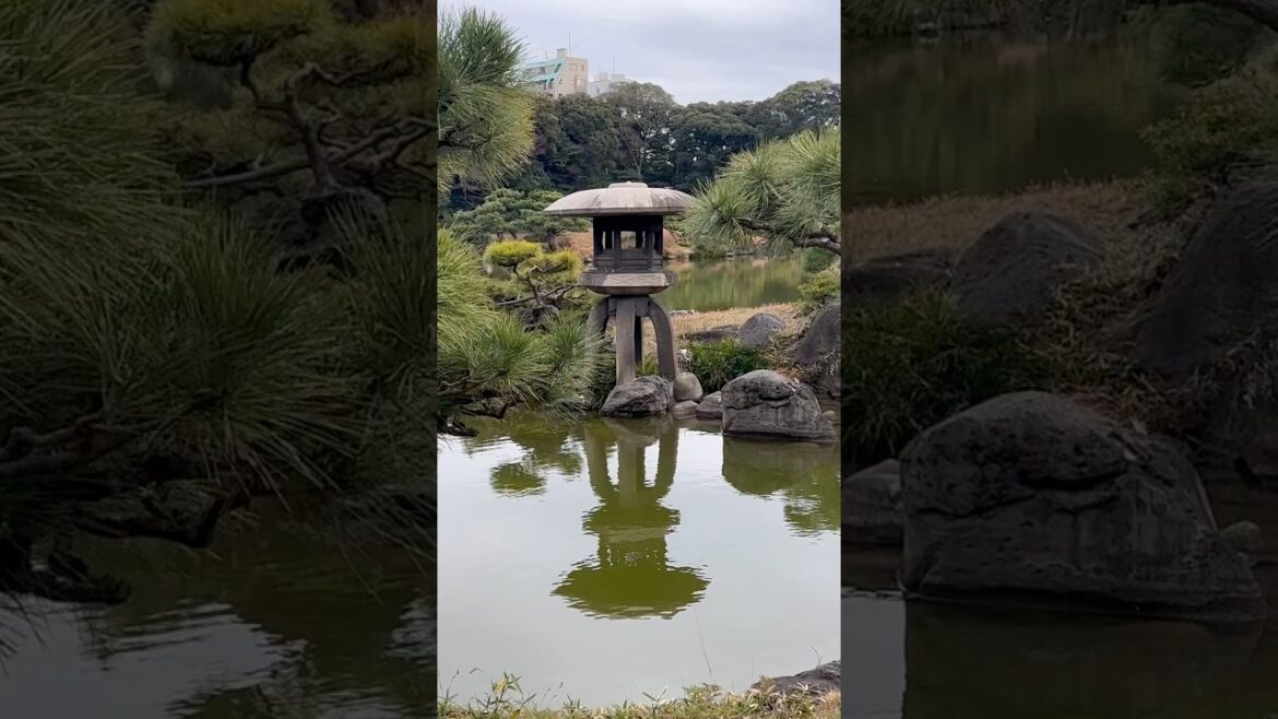Kiyosumi Garden in Tokyo #travel #kiyosumi #bestgardentokyo #japanesegarden #tokyo Kiyosumi Garden in Tokyo #travel #kiyosumi #bestgardentokyo #japanesegarden #tokyo
