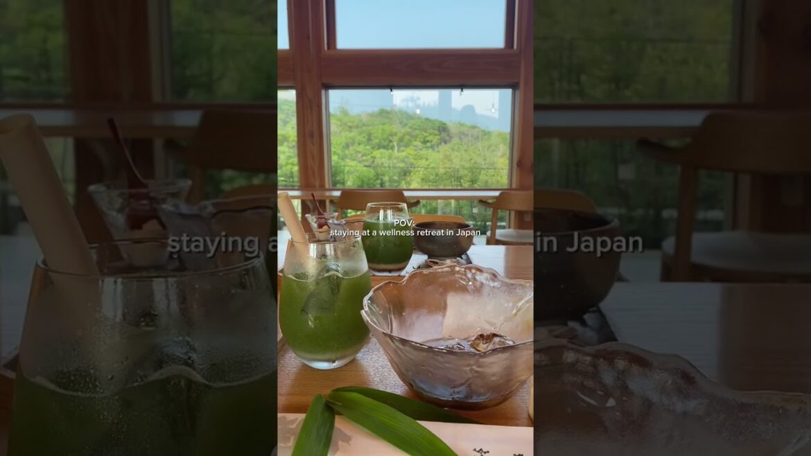 POV: Zenbo Seinei Wellness Retreat in Japan