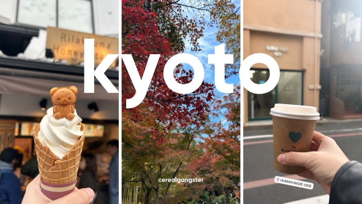 2 Days in Kyoto Japan | Autumn Vlog🍁 2 Days in Kyoto Japan | Autumn Vlog🍁
