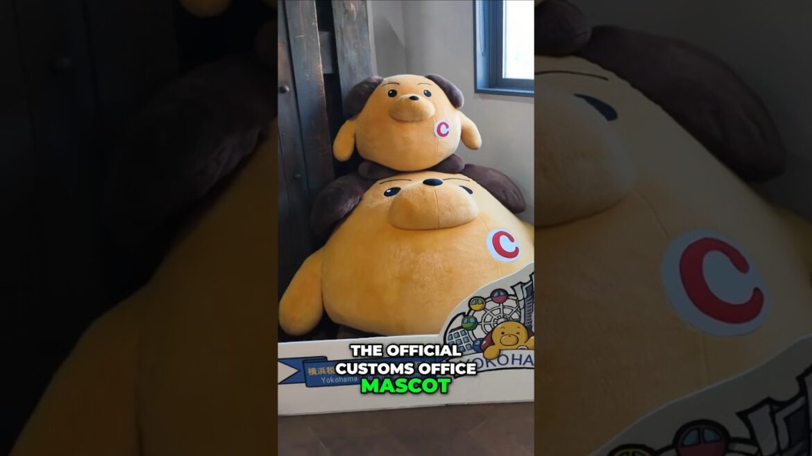 Yokohama FREE Museum of Smuggling & True Crime!