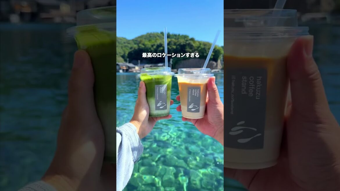 感動でリアルに涙が出た伊根の舟屋vlog #shorts