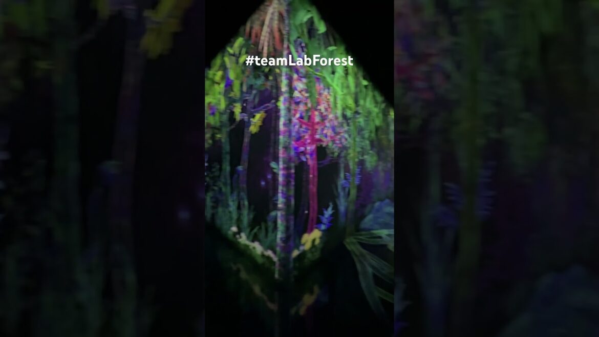 Team Lab Forest #fukuoka #japan