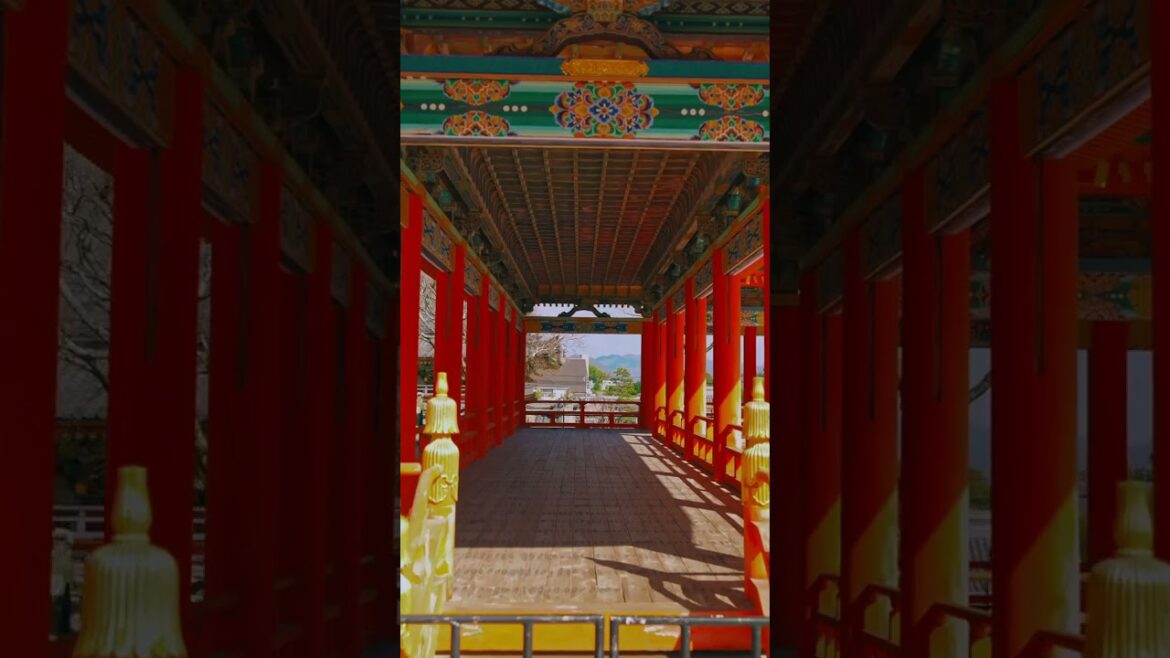 📍Kosanji Temple – Onomichi, Hiroshima, Japan✉️ 📍Kosanji Temple – Onomichi, Hiroshima, Japan✉️