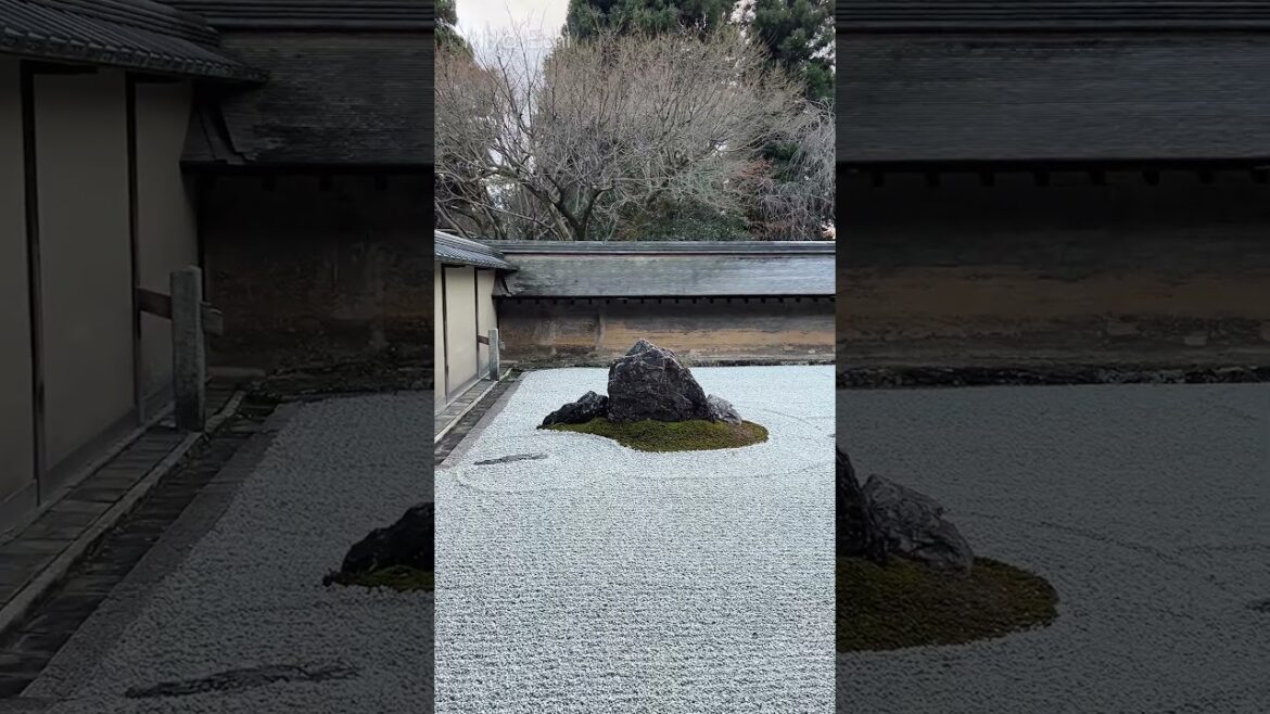 Kyoto Travel Zen Rock Garden | Japan World Famous Spot! #japan #travel #日本 #Kyoto #japantravel