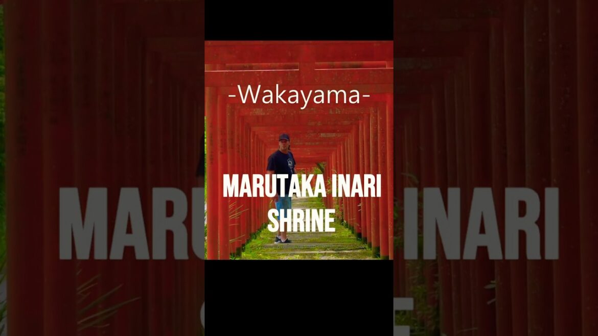 Marutaka Inari Shrine Wakayama Japan #japan #travel #nature #dji #japaneseculture #scenery