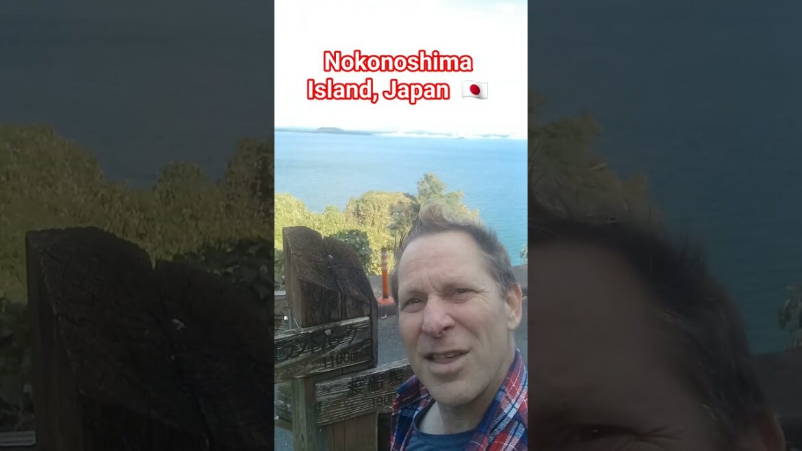 🇯🇵  NOKONOSHIMA ISLAND Japan  #fukuoka #fukuokatravel #japaneseisland #japantourism #japantravel
