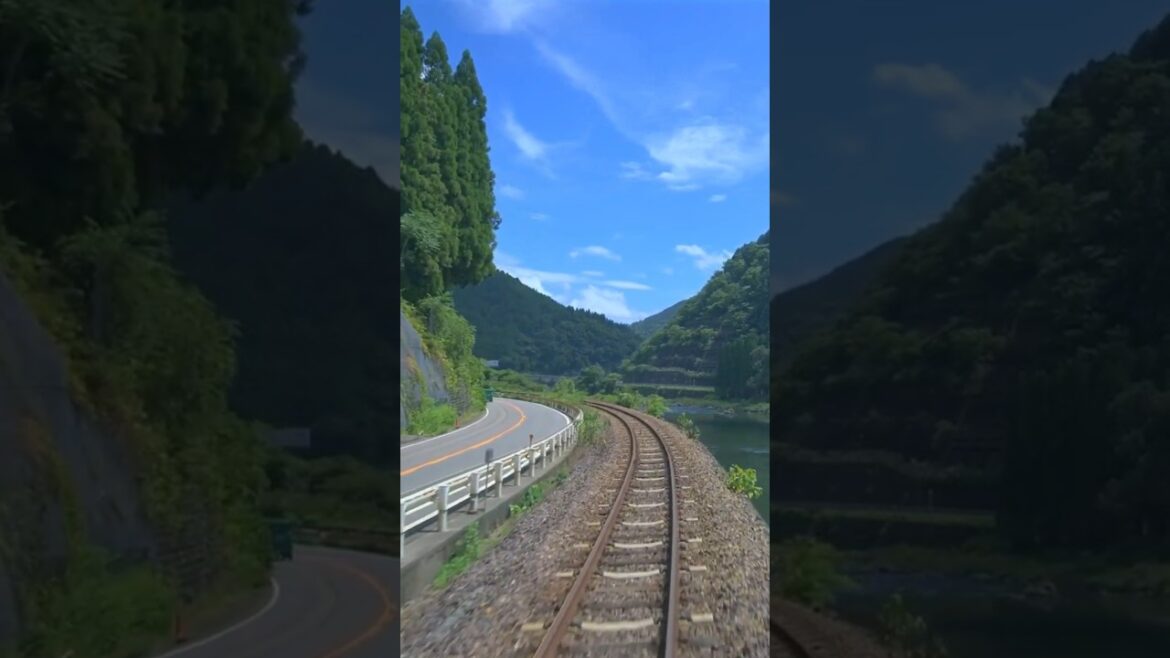 A Short Train Journey in GIFU 🗾🛤️ #japan