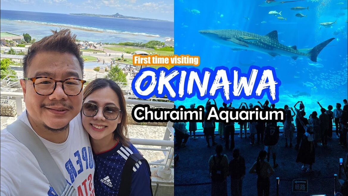 Visiting OKINAWA Churaimi Aquarium in Japan 4k Video Visiting OKINAWA Churaimi Aquarium in Japan 4k Video