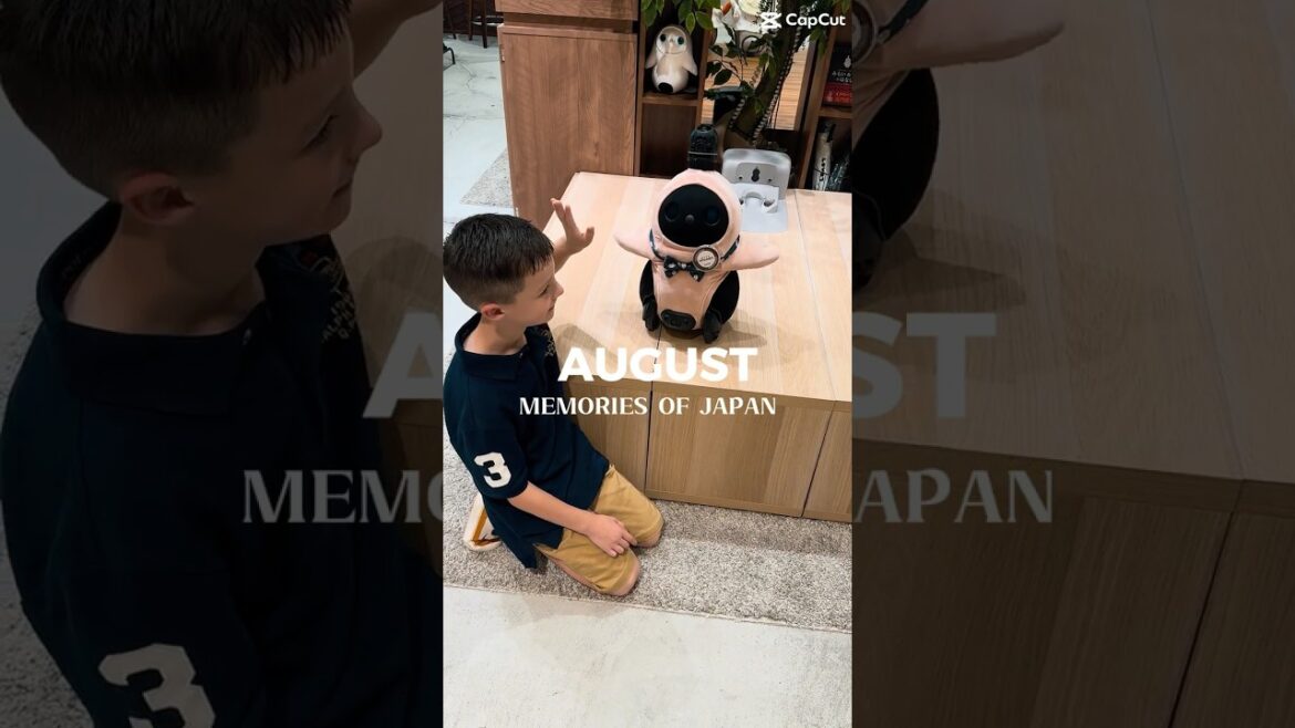 TOP BEST Holiday Destinations for Kids Awesome Travel Vlog - Japan