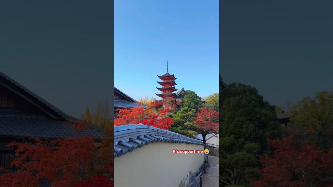 WELCOME TO JAPAN HIROSHIMA #shorts #viral #travel #explore #nature #japaneselandscape WELCOME TO JAPAN HIROSHIMA #shorts #viral #travel #explore #nature #japaneselandscape