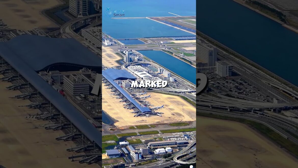 The Airport That Hasn’t Lost a Single Bag in 30 Years! #airport #travel