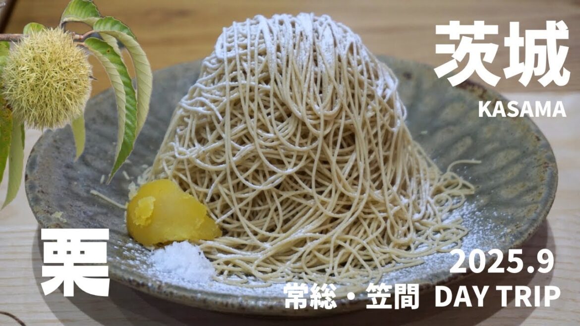 ［茨城］栗食べ行こう♪かさま・常総「道の駅」DAY TRIP