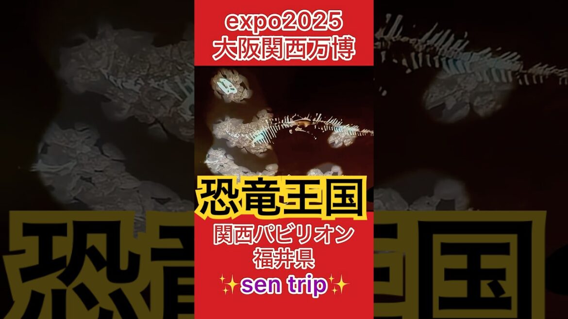 衝撃！恐竜のフンの化石　関西パビリオン　福井県　expo2025「大阪関西万博」　#shorts  #expo2025  #福井県  #恐竜　#大阪万博