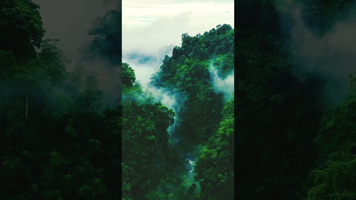 Nature is so amazing. beautiful natural travel place πΏπ #nature #travelling #travellingvlog Nature is so amazing. beautiful natural travel place πΏπ #nature #travelling #travellingvlog