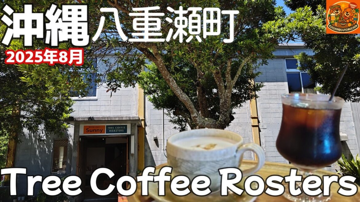 【沖縄県 八重瀬町】ケーキと珈琲を楽しみながら寛げる空間!自家焙煎珈琲店Tree Coffee Rosters 世名城本店 【沖縄県 八重瀬町】ケーキと珈琲を楽しみながら寛げる空間!自家焙煎珈琲店Tree Coffee Rosters 世名城本店