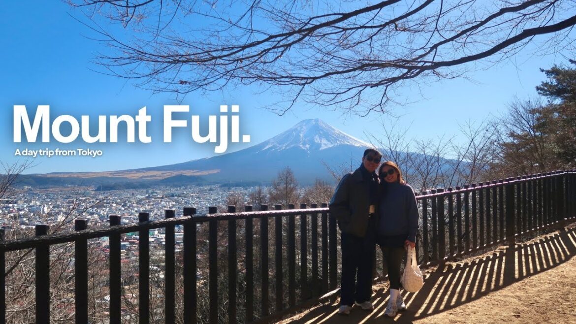Japan winter vlog 🇯🇵 a quick day trip to Mt. Fuji from Tokyo 🗻