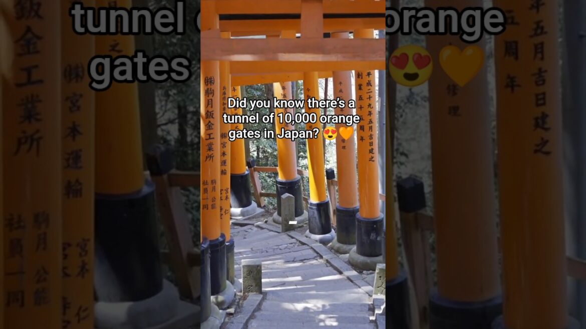 Japan’s Stunning Tunnel of 10,000 Orange Gates 🧡