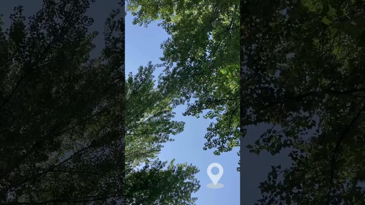 Hidden Zen Moment in Sapporo – backdoor #007