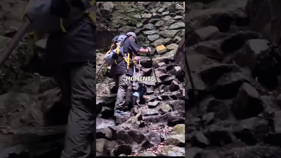 福智山　上野超えルート　前半でトレーニング