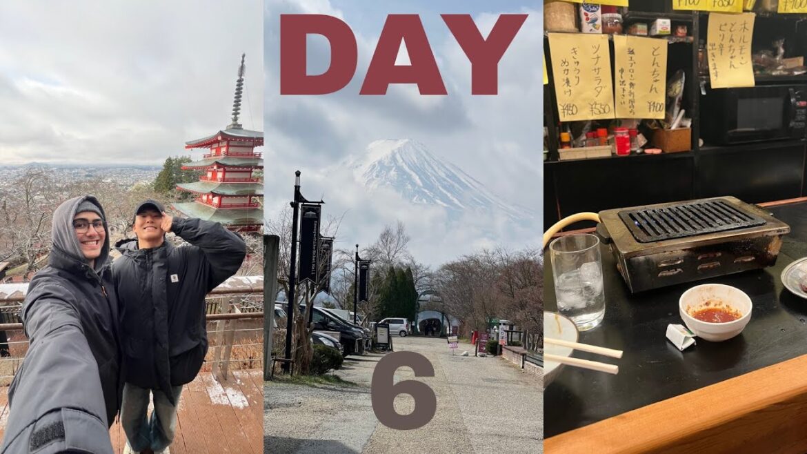 Sixth Day in Japan!! (Mount Fuji, Vlog, Bullet Train, Nagoya!!)