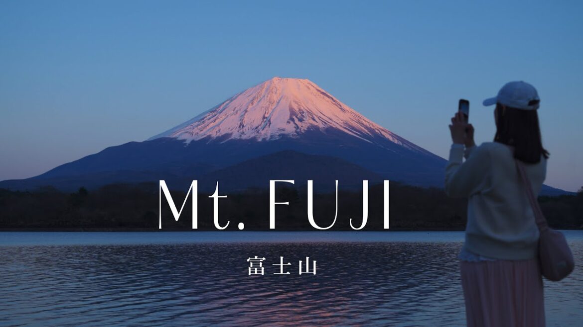 Chasing Mount Fuji 🌸 富士山 🇯🇵 Japan travel vlog