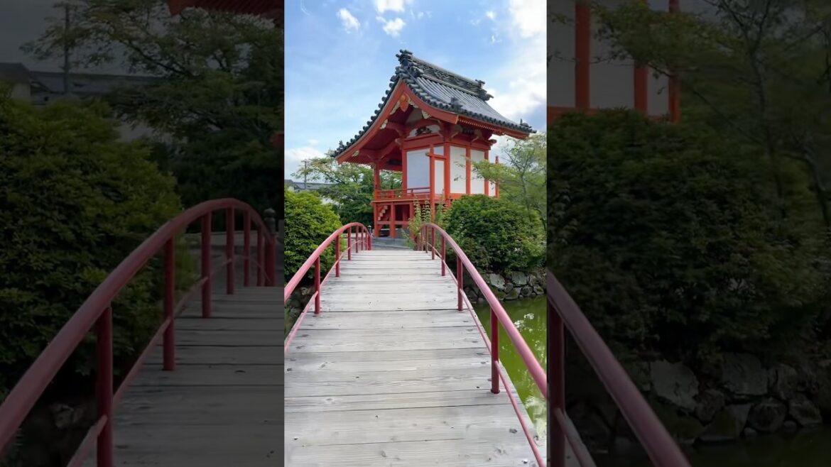 japanese garden in kibitsu jinja in Okayama #shorts