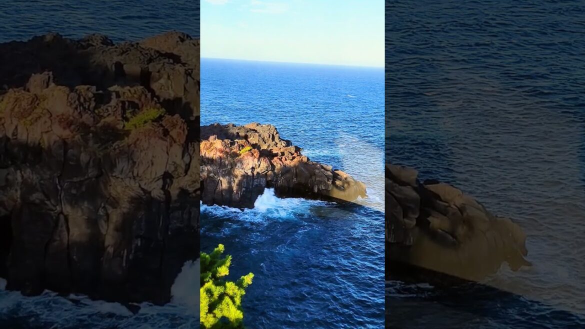 Beautiful Coast in Japan #travel