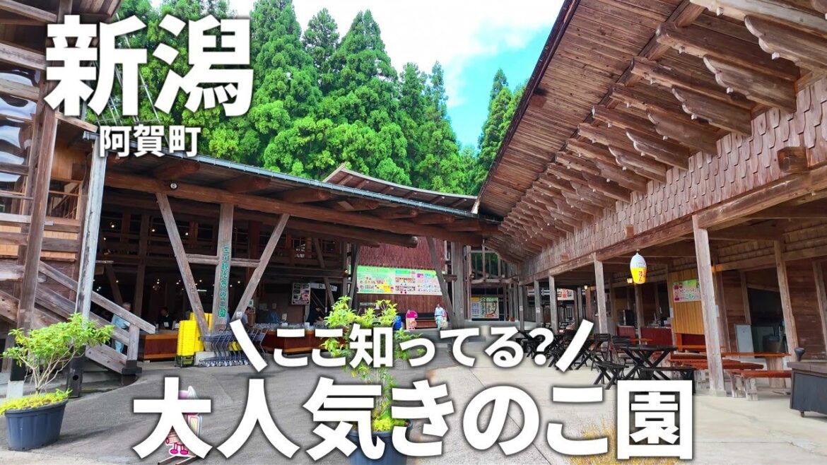 【新潟】朝一番に行くべき!!自然の恵みとふれあい体験が満載の「三川観光きのこ園」 【新潟】朝一番に行くべき!!自然の恵みとふれあい体験が満載の「三川観光きのこ園」