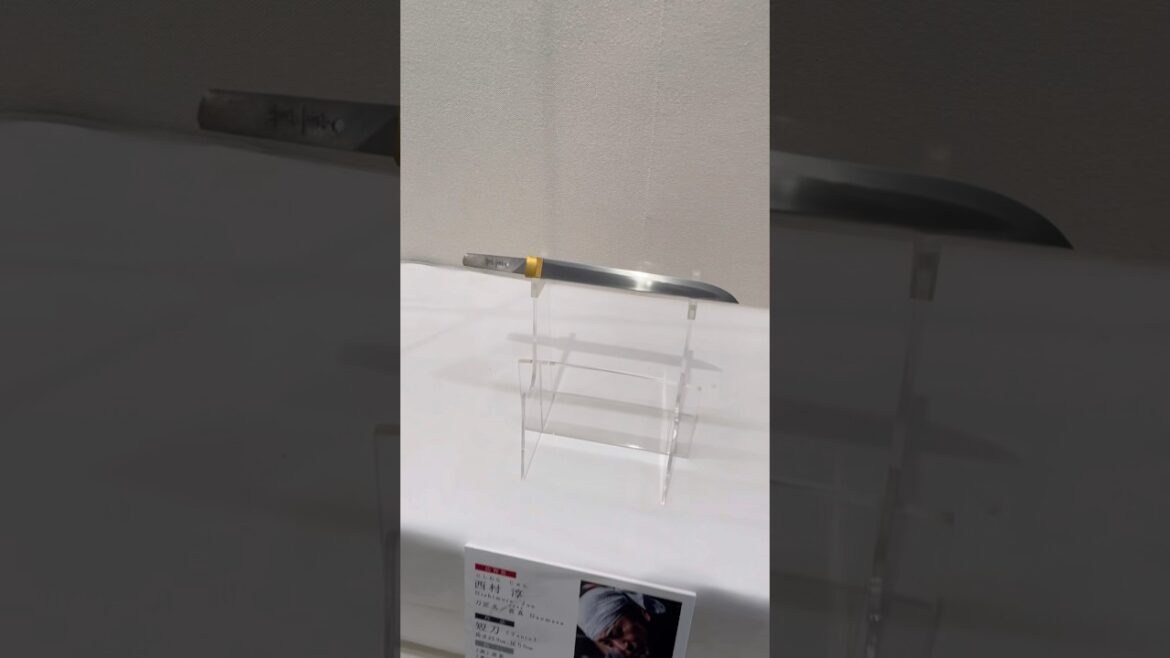 Travel Vlog: Discover Kokura Kitakyushu With Scenic City Paths