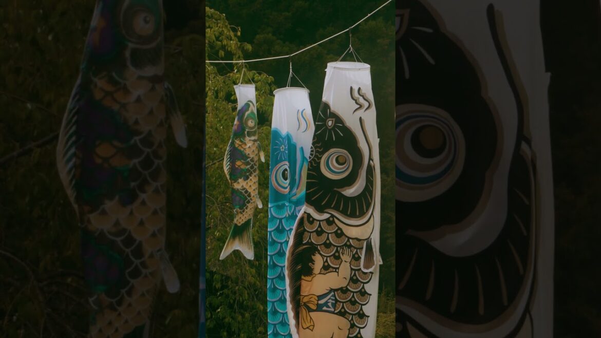 Time Travel to Old Japan | Saiko Iyashi no Sato Nenba  🌿 #japan #travel #fujinaga #saiko