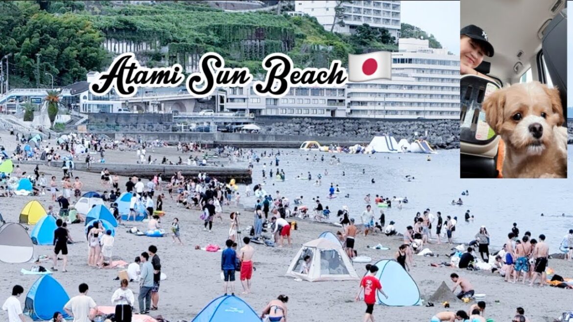 Sightseeing at Atami Sun Beach Shizuoka,japan #travel #happy #pets