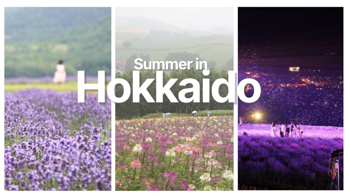 JAPAN TRAVEL VLOG| Summer in Hokkaido | Exploring Furano, Biei - Part 2/2