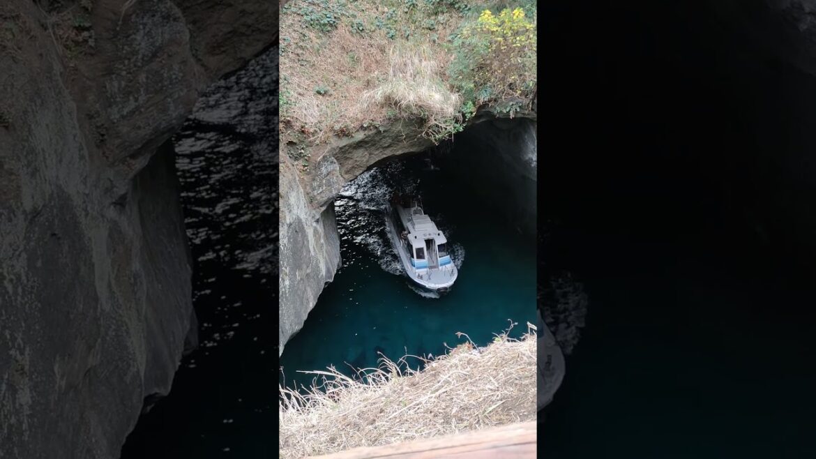 Izu, Shizuoka, Japan #2