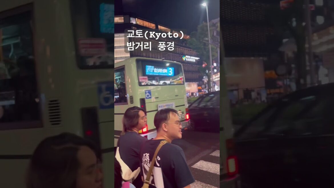 교토(Kyoto) 밤거리 풍경 둘러보기 京都の夜の街を歩く