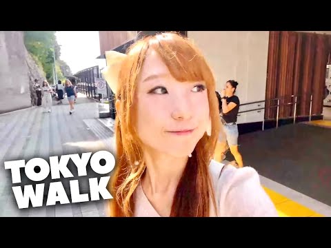 Live – Tokyo Street Food Spot with Cats & Beautiful Swan Boat Pond! Live - Tokyo Street Food Spot with Cats & Beautiful Swan Boat Pond!