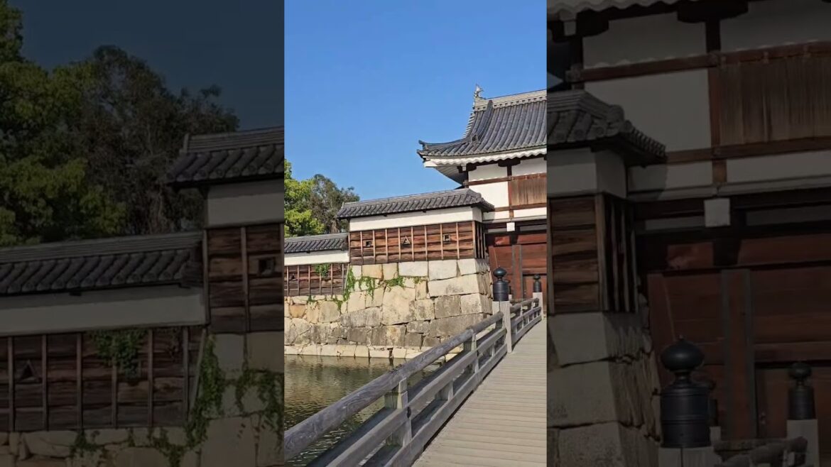 Hiroshima Castle #hiroshima #jji #castle