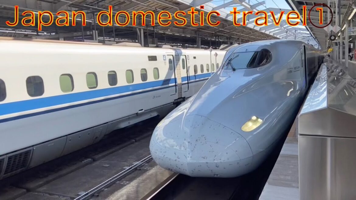 Japan domestic travel Shinkansen①