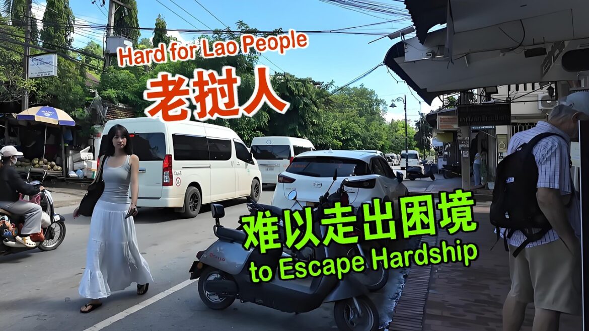 我和日本大学生一起探索老挝 他们出国太难 维森来了 我和日本大学生一起探索老挝 他们出国太难 维森来了